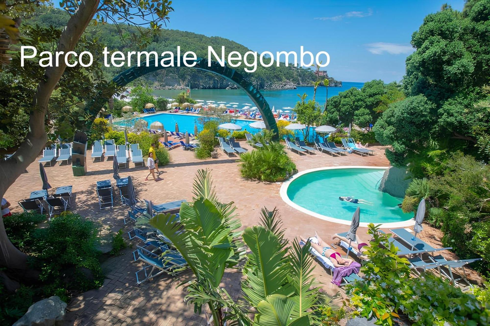 Casa Caterina Daire Lacco Ameno  Dış mekan fotoğraf